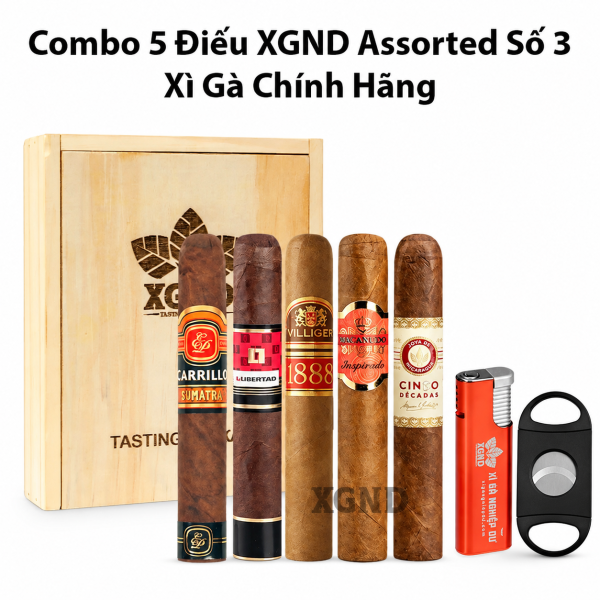 Combo 5 Điếu XGND Assorted Số 3 Chính Hãng