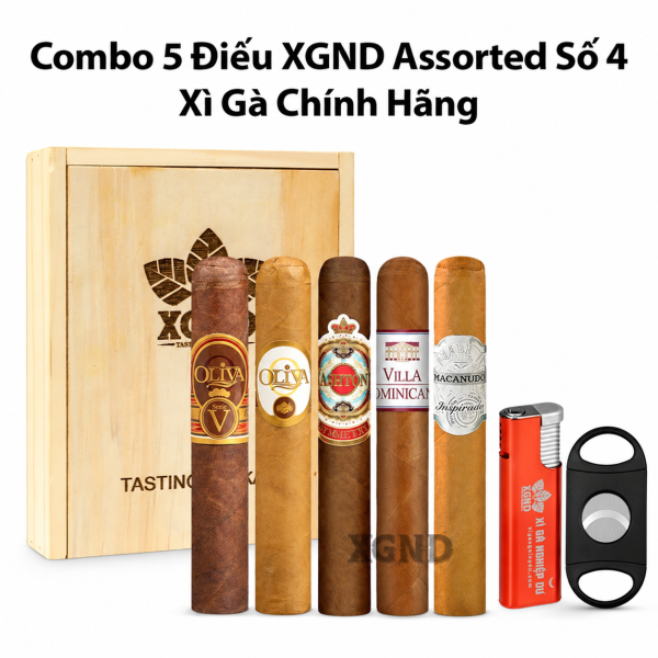 Combo 5 Điếu XGND Assorted Số 4 Chính Hãng