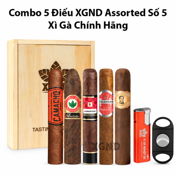 Combo 5 Điếu XGND Assorted Số 5 Chính Hãng