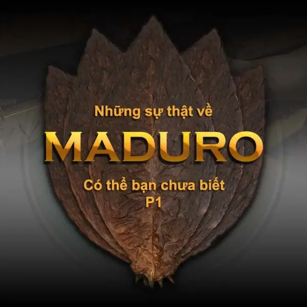 Điều Kì Diệu Ẩn Sau Trong Lá Xì Gà Maduro Phần 1