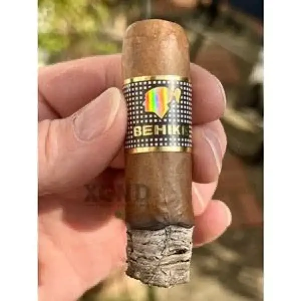 Thưởng Thức Và Đánh Giá Điếu Xì Gà Cohiba Behike BHK 54 - Xì Gà Cuba Đắt Nhất