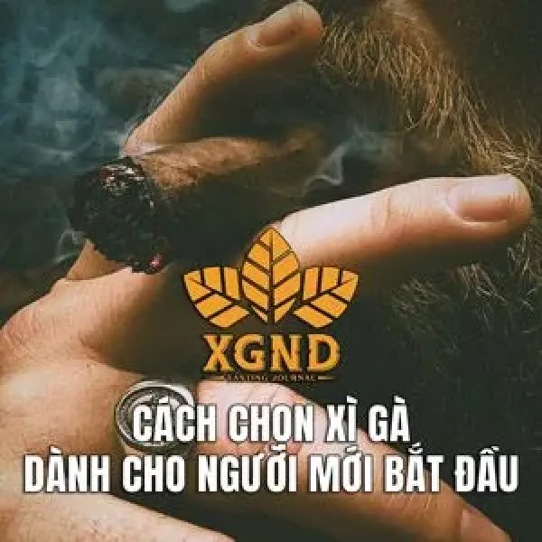 Cách Chọn Xì Gà Dành Cho Người Mới Bắt Đầu