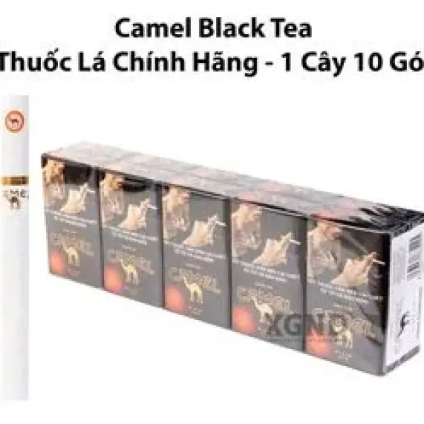 Thuốc Lá Bấm Vị Trà Đen Quyến Rũ - Thuốc Lá Camel Caster Black Tea