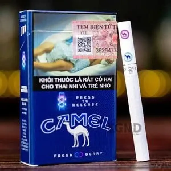 Thuốc Lá Camel Hai Bấm: Kết hợp Hương vị Truyền thống và Trái cây Berry