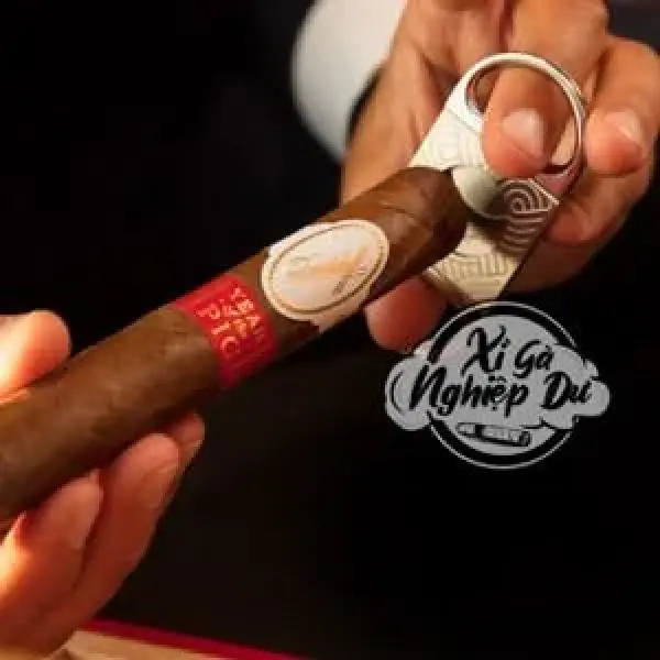 Những Sự Thật Thú Vị Về Xì Gà Davidoff Có Thể Bạn Chưa Biêt - Phần 1