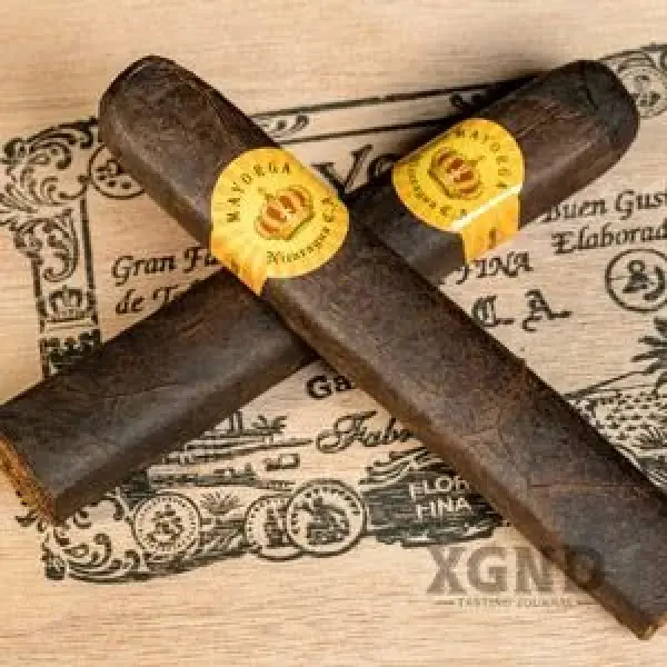 Dòng Xì gà Mayorga Robusto Với Hương Vị Đen Đậm Hấp Dẫn