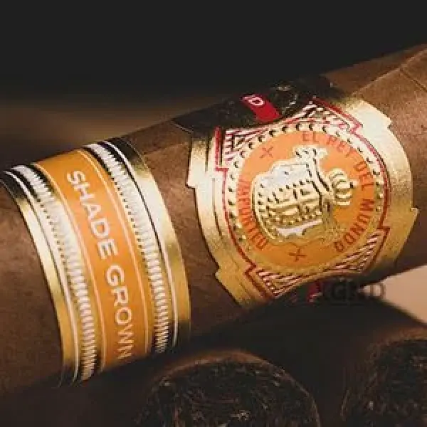 El Rey del Mundo Sử Dụng Lá Wrapper Được Trồng Dưới Bóng Mát