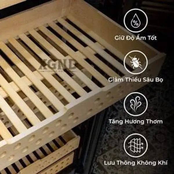 Tủ Giữ Ẩm Bảo Quản Xì Gà XGND JF-288C Với Thiết Kế Sang Trọng và Công Nghệ Hiện Đại