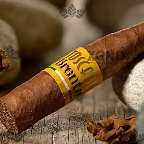 Giới thiệu Cigar Toscano Brenta Với Lá Air-Cured Của Toscano