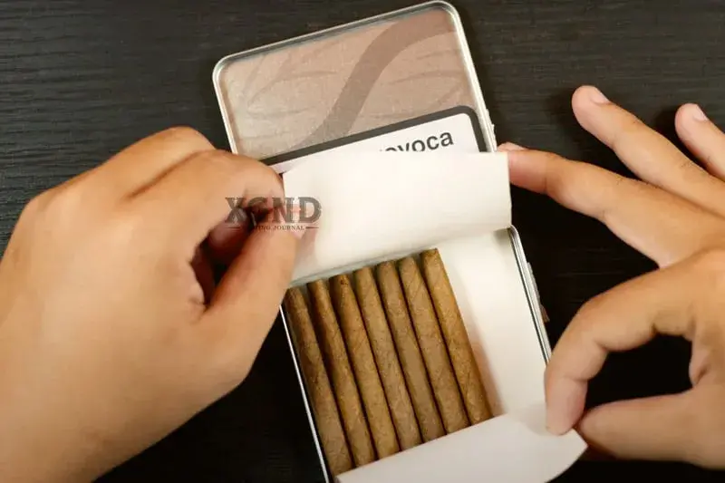 Cigar Mini Café Crème - Xì gà Mini Hà Lan Chính hãng