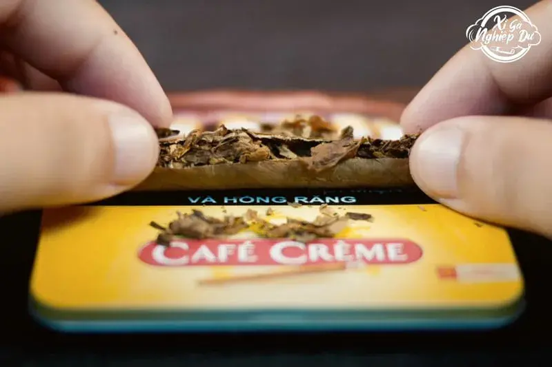 Cigar Mini Café Crème - Xì gà Mini Hà Lan Chính hãng