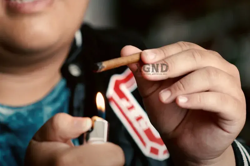 Cigar Mini Café Crème - Xì gà Mini Hà Lan Chính hãng