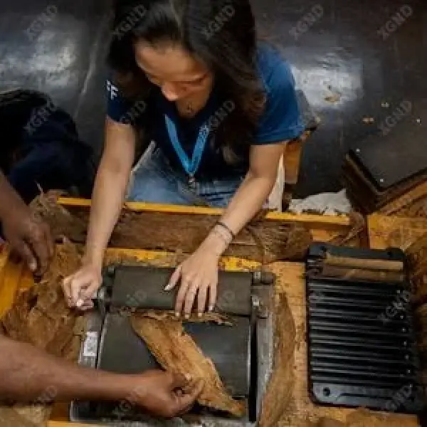 Procigar Hợp Tác Với Chính Phủ Dominica Để Thành Lập Trường Đào Tạo Công Nhân Sản Xuất Xì Gà