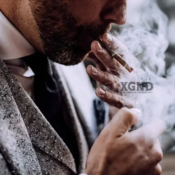 Điều Gì Làm Cho Xì Gà VILLIGER Trở Nên Độc Đáo?