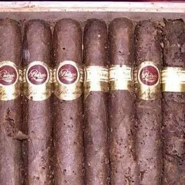 Xì Gà Bị Mối Mọt Có Hút Được Không ? Cách Chữa Mối Mọt Trên Cigar