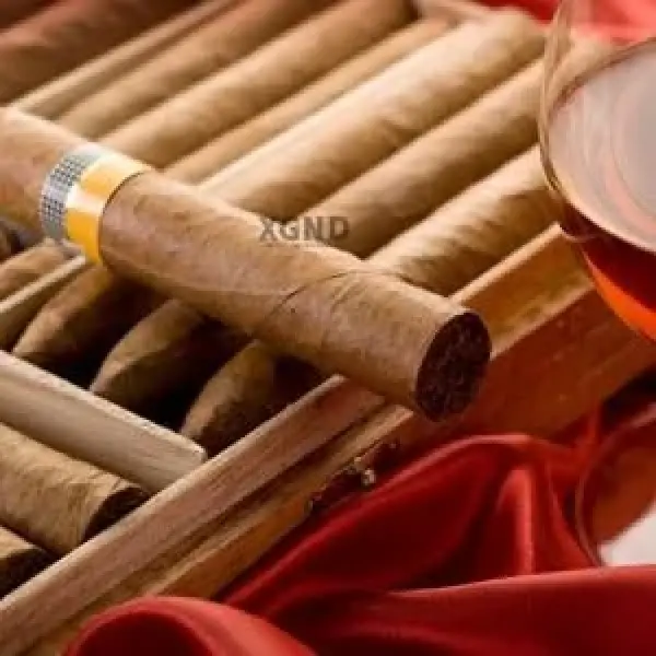 Những Lý Do Hút Xì Gà Trở Nên Thú Vị