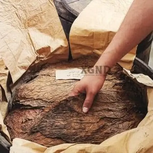 Sử Dụng Lá Xì Gà Lên Men Trong Thùng Gỗ Đựng Rượu