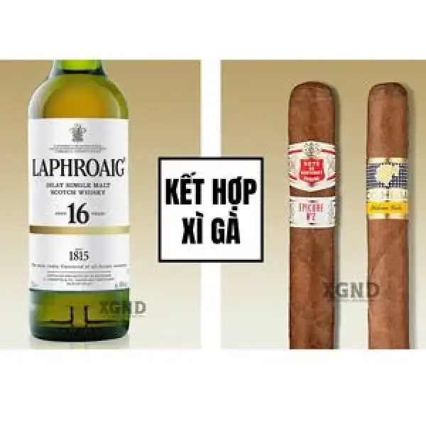 Sự Kết Hợp: Rượu Laphroaig 16 với xì gà Cuba