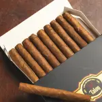 Cigar Talon Premium Mini Phoenix - Xì Gà Mini Chính Hãng