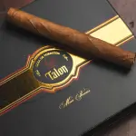 Cigar Talon Premium Mini Phoenix - Xì Gà Mini Chính Hãng