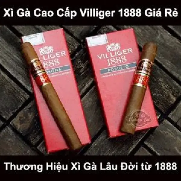 Thưởng Thức Và Đánh Giá Xì Gà Villiger 1888 - Dòng Xì Gà Xịn Giá Rẻ