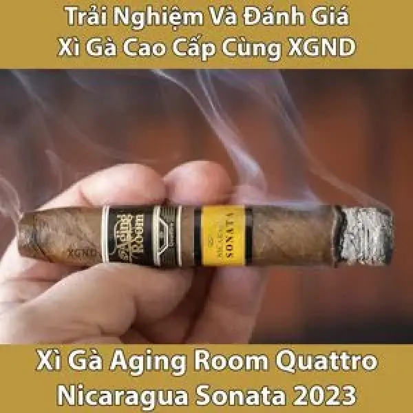 Trải Nghiệm Và Đánh Giá Xì Gà  Aging Room Quattro Sonata Maestro
