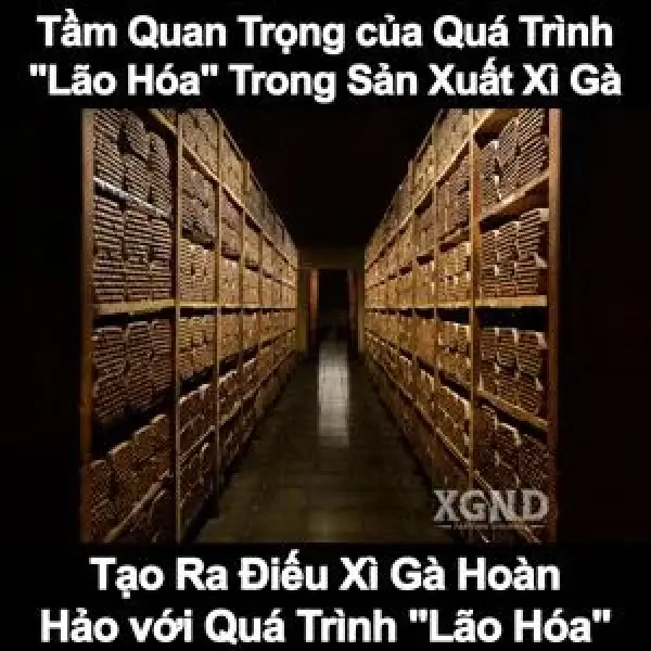 Ủ Và Lên Men Lâu Năm Cho Xì Gà - Quá Trình Giúp Xì Gà Ngon Hơn