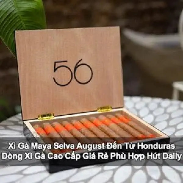 Xì Gà Cao Cấp Maya Selva August - Dòng Xì Gà Giá Tốt Đến Từ Honduras