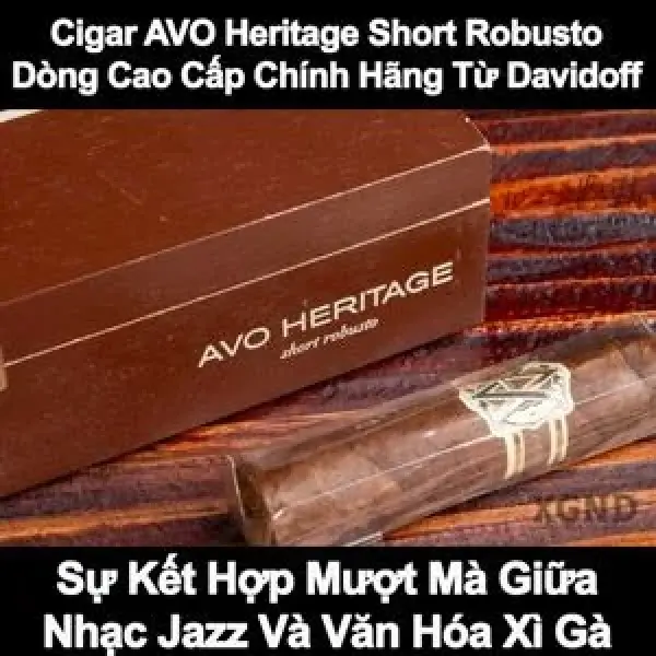 Xì Gà Cao Cấp AVO Heritage Short Robusto - Bản Nhạc Ngắn Của Davidoff