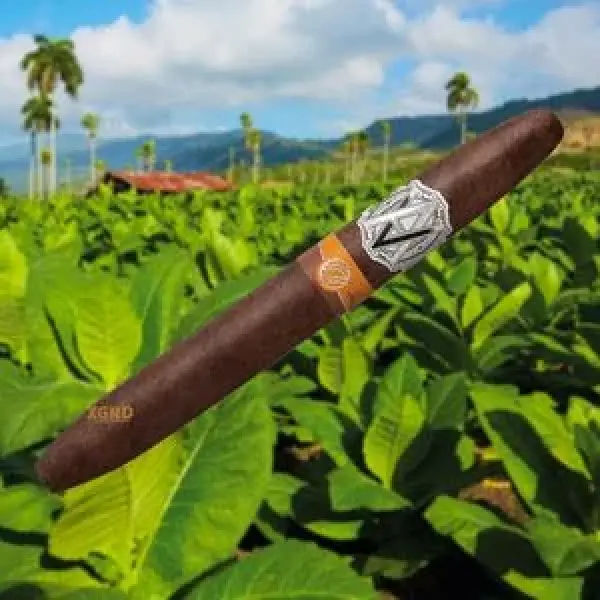 Xì Gà Cao Cấp AVO Seasons Fall Limited Edition 2023 Sẽ Ra Mắt Ngày Mai