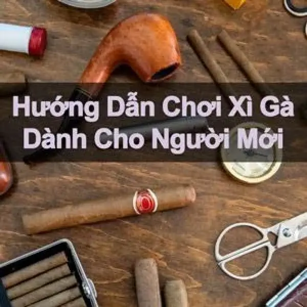 Hút Xì Gà Như Một Quý Ông Lịch Lãm - Cách Chơi Xì Gà Chuẩn Cho Newbie
