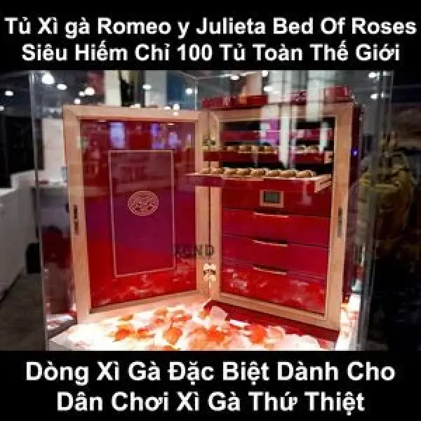 Tủ Humidor Xì Gà Romeo Y Julieta Bed Of Roses Giới Hạn 100 Tủ Cực Hiếm