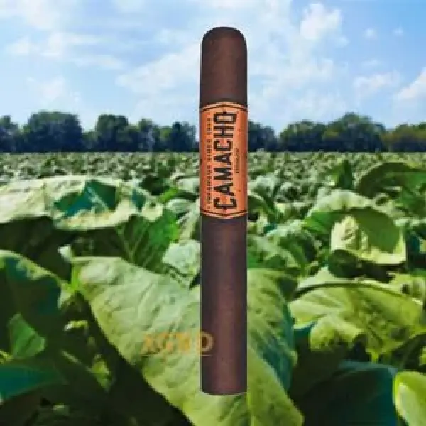 Dòng Xì Gà Camacho Broadleaf Chính Thức Ra Mắt Ngày Hôm Nay