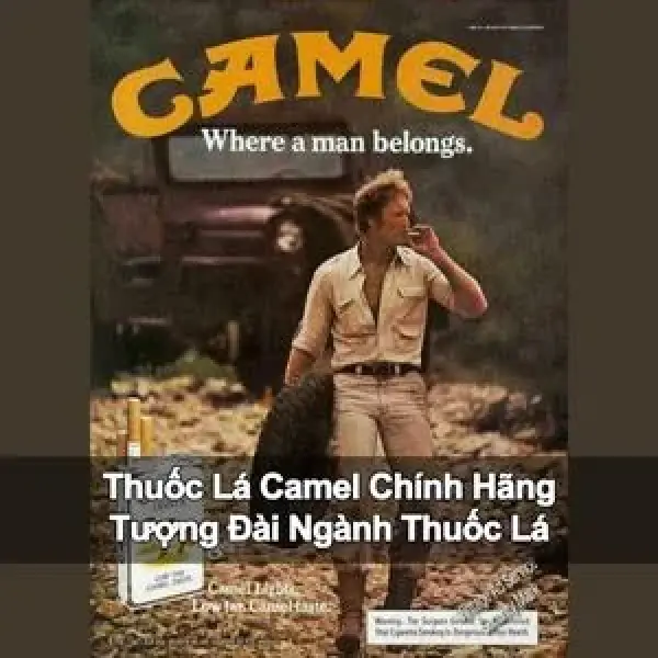Thuốc Lá Camel - Tượng Đài Ngành Thuốc Lá Với Hơn 100 Năm Kinh Nghiệm