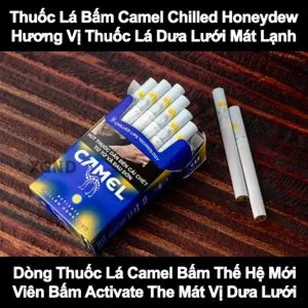 Thuốc Lá Camel Chilled Honeydew - Dòng Thuốc Lá Bấm Thế Hệ Mới Độc Đáo