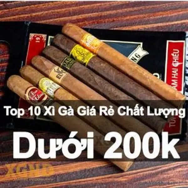 Tổng Hợp 10 Loại Xì Gà Chất Lượng Dưới 200k - 10 Lựa Chọn Đáng Cân Nhắc