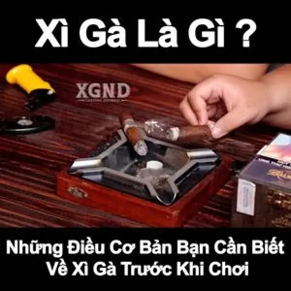 Xì Gà Là Gì ? Những Điều Cơ Bản Bạn Cần Biết Về Xì Gà Trước Khi Chơi
