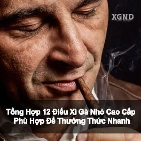 Tổng Hợp 12 Điếu Xì Gà Nhỏ Cao Cấp Phù Hợp Để Thưởng Thức Nhanh