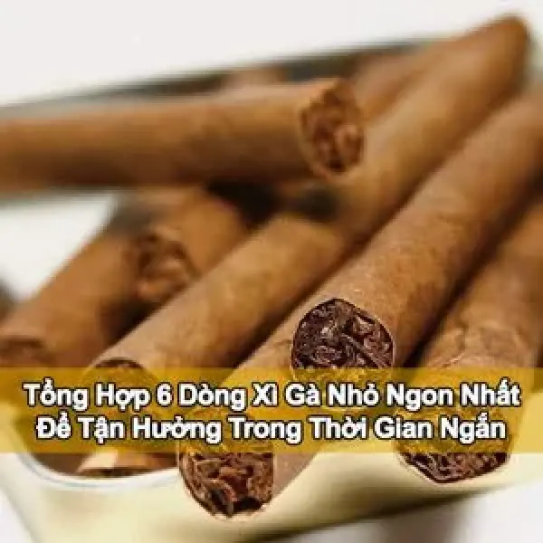 Các Loại Xì Gà Mini Nhỏ Và Ngon Nhất Để Thưởng Thức Với Thời Gian Ngắn