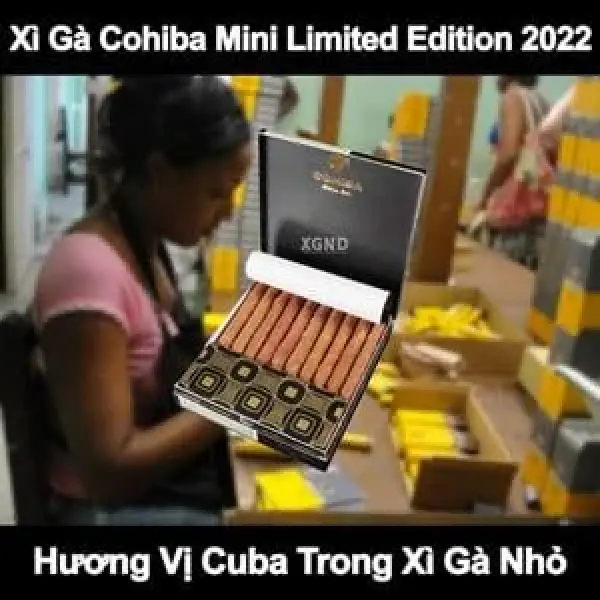 Xì Gà Cohiba Mini Limited Edition 2022 - Hương Vị Cuba Trong Xì Gà Nhỏ