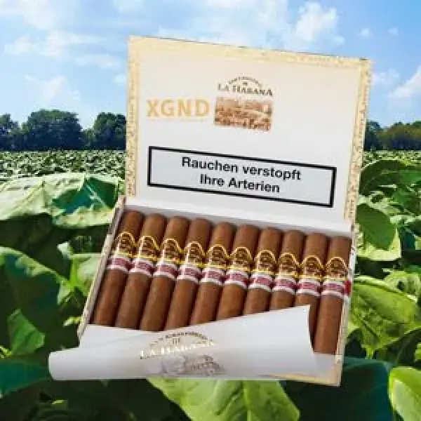 Dòng Xì Gà San Cristóbal de La Habana Obispo Sắp Có Mặt Tại Áo