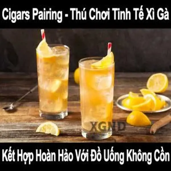 Thú Chơi Tinh Tế Xì Gà - Kết Hợp Hoàn Hảo Với Đồ Uống Không Cồn