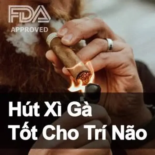 FDA Xác Nhận Xì Gà Giảm Rủi Ro Ung Thư Và Hỗ Trợ Cho Sức Khỏe Trí Óc