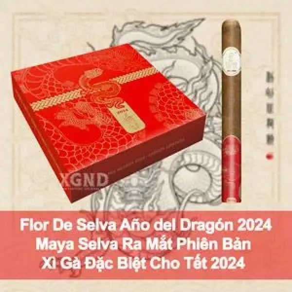 Maya Selva Ra Mắt Xì Gà Año del Dragón 2024 - Năm Thìn Rồng Trở Lại