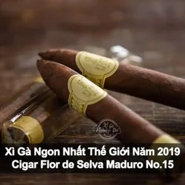Xì Gà Ngon Nhất Thế Giới Năm 2019 - Cigar Flor de Selva Maduro No 15