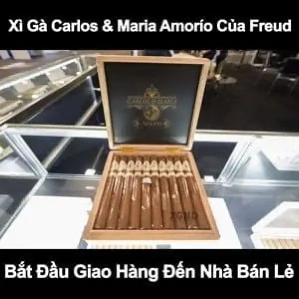 Xì Gà Carlos & Maria Amorío Của Freud Bắt Đầu Giao Hàng Đến Nhà Bán Lẻ