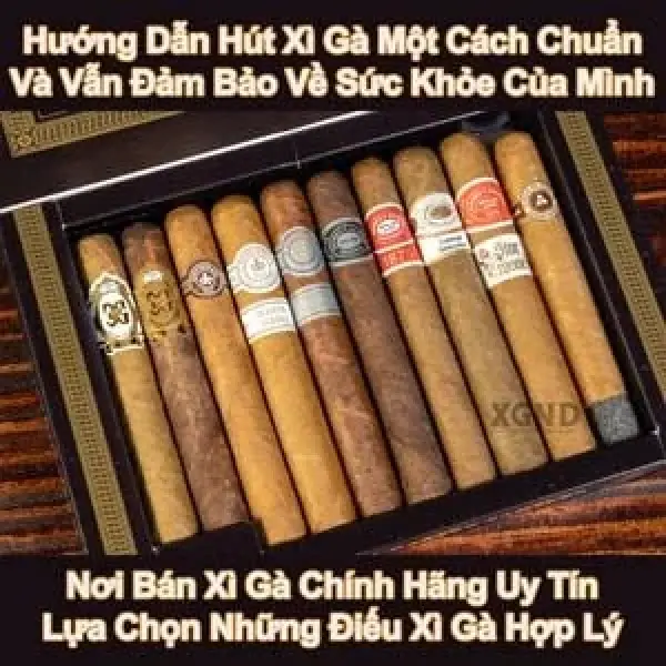 Hướng Dẫn Hút Xì Gà Một Cách Tận Hưởng Và Cân Nhắc Về Sức Khỏe