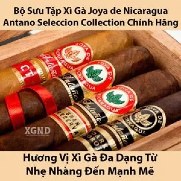 Bộ Sưu Tập Xì Gà Joya de Nicaragua Antano Seleccion Collection Đậm Đà