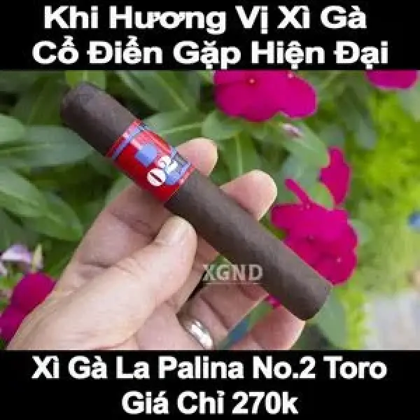 Xì Gà La Palina No 2 Toro - Khi Hương Vị Cổ Điển Gặp Hiện Đại