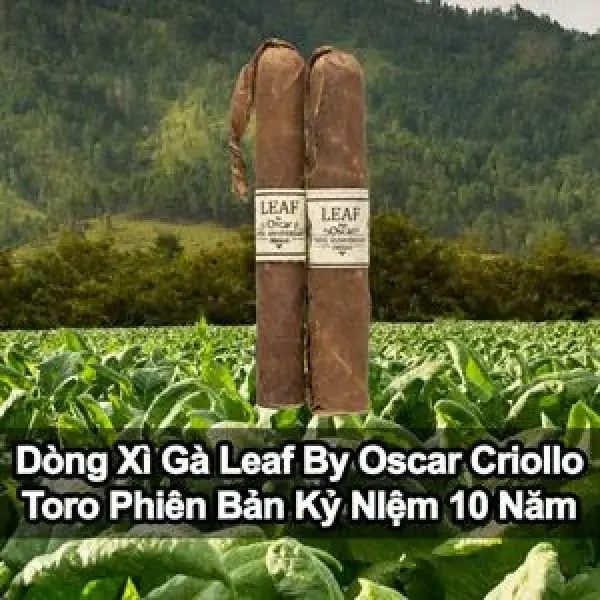 Trải Nghiệm Xì Gà Leaf By Oscar Criollo Toro Phiên Bản Kỉ Niệm 10 Năm